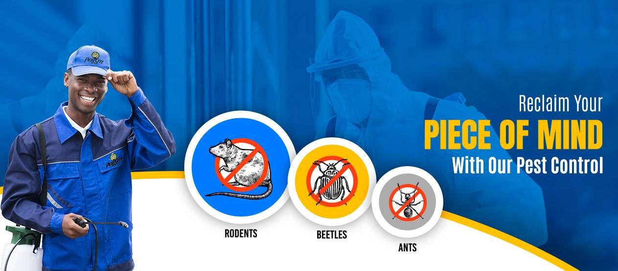 Smiling pest control technician in a blue uniform and cap with a sprayer, beside icons indicating no rodents, no beetles, and no ants, with the text "Reclaim Your Piece of Mind With Our Pest Control".