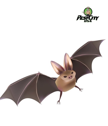 An illustration of a bat flying with its wings spread, relevant to bat removal, or exclusion services in pest control.